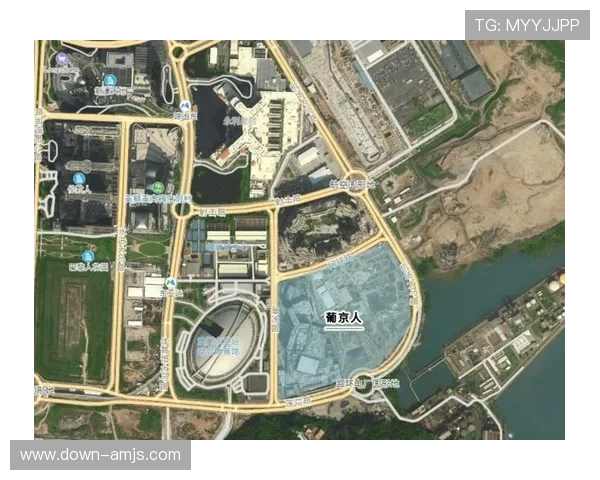 巴黎澳门人官网详解度假村的住宿环境、设施设备及客户评价分析